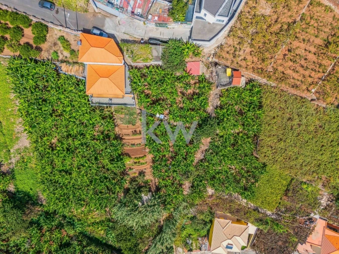 Terreno para Venda em Camara de Lobos Foto 21