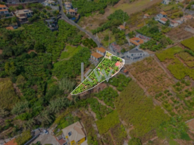 Terreno para Venda em Camara de Lobos Foto 18