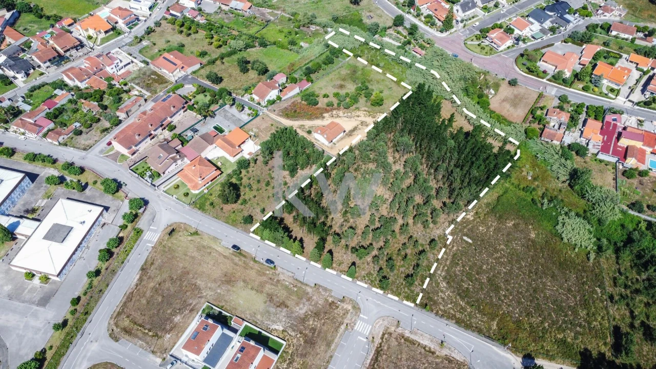 Terreno para Venda em Pampilhosa Foto 4