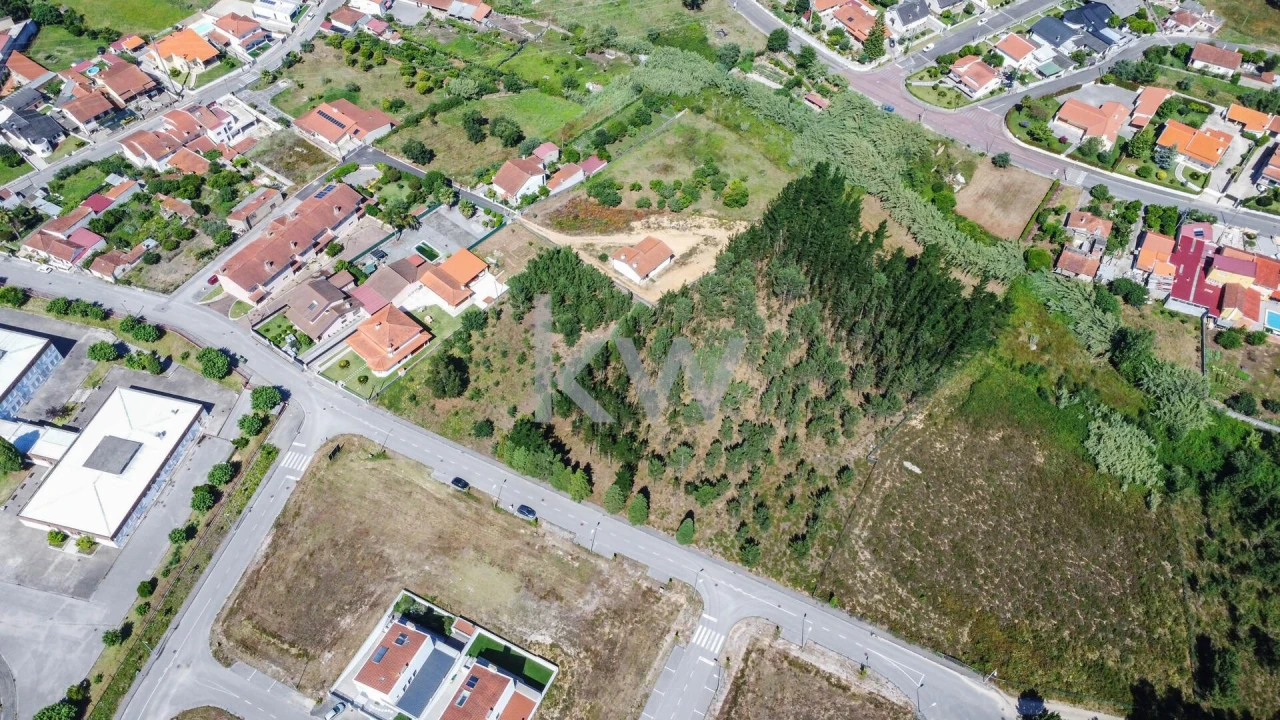 Terreno para Venda em Pampilhosa Foto 3