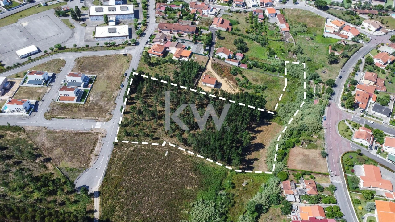 Terreno para Venda em Pampilhosa Foto 7