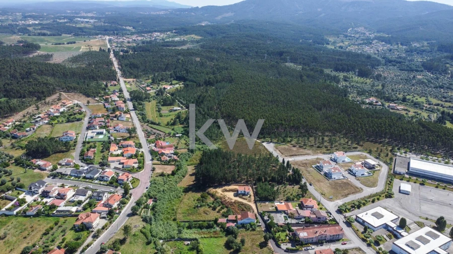 Terreno para Venda em Pampilhosa Foto 15