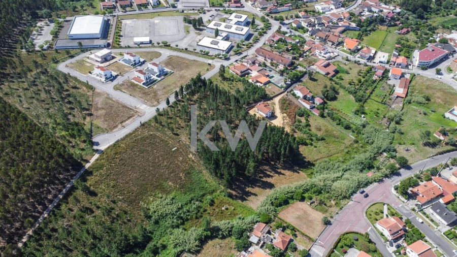 Terreno para Venda em Pampilhosa Foto 8