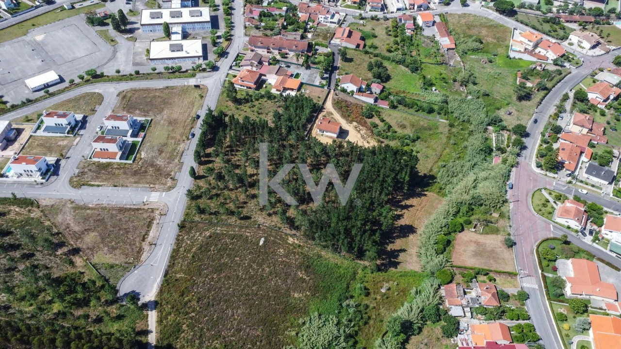 Terreno para Venda em Pampilhosa Foto 6
