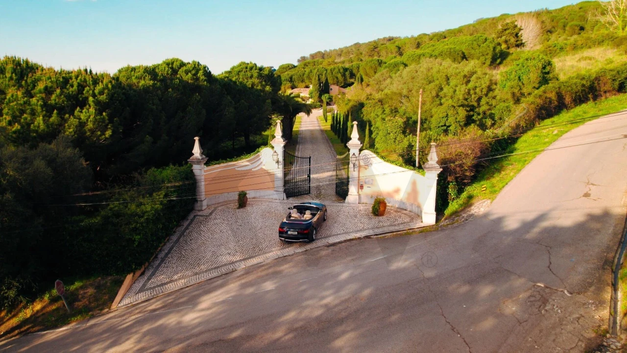 Quinta T4 para Venda em Azeitão (São Lourenço e São Simão) Foto 88