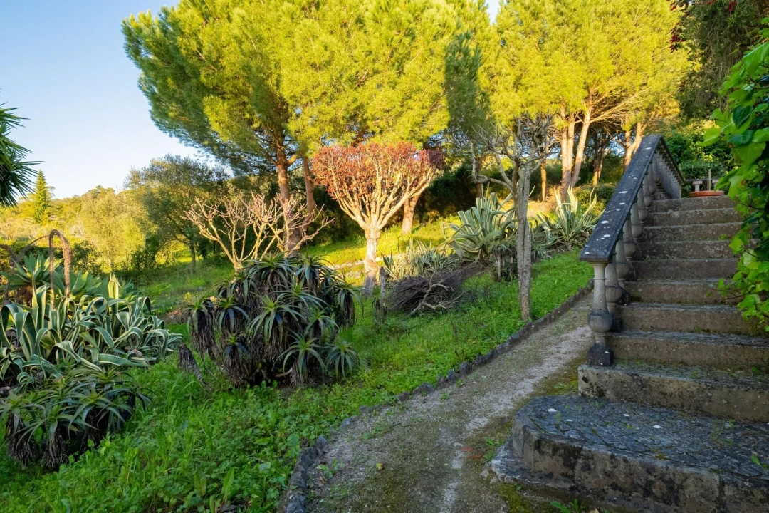 Quinta T4 para Venda em Azeitão (São Lourenço e São Simão) Foto 75