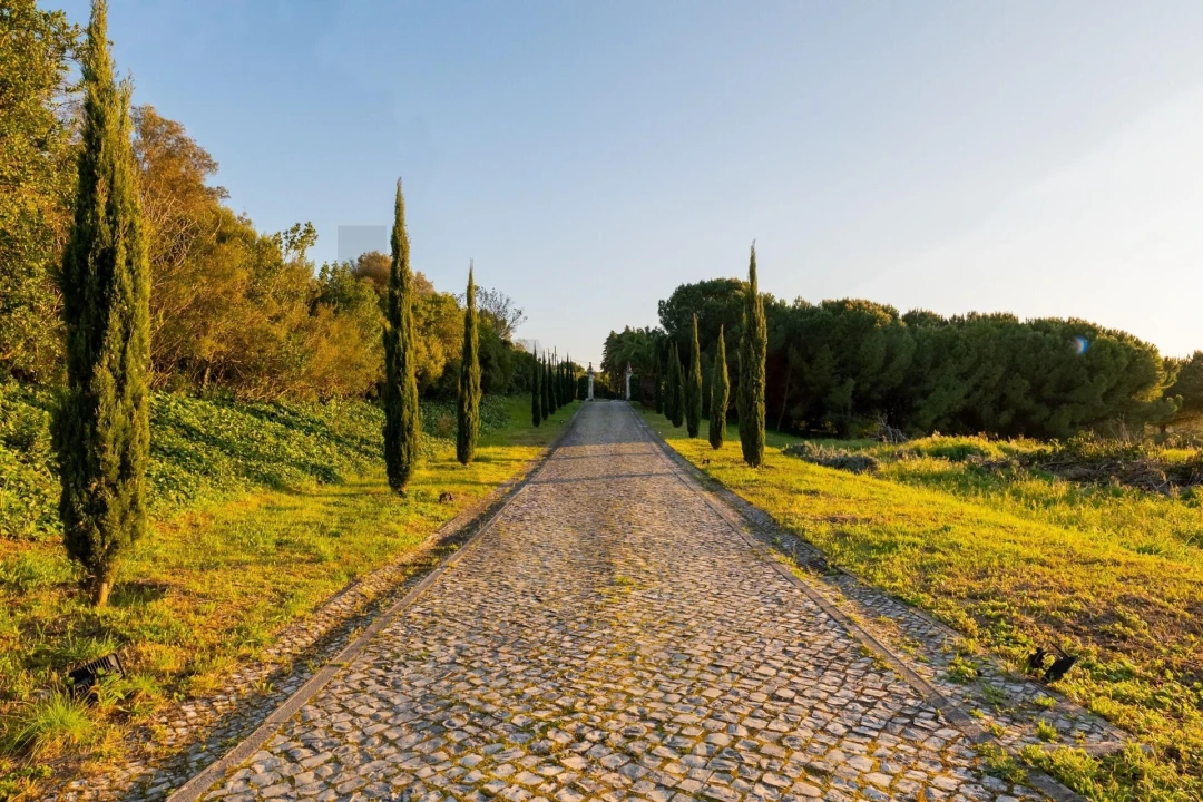 Quinta T4 para Venda em Azeitão (São Lourenço e São Simão) Foto 86