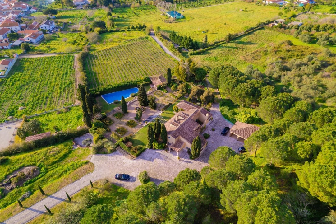 Quinta T4 para Venda em Azeitão (São Lourenço e São Simão) Foto 9