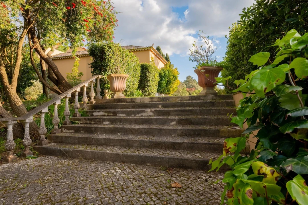 Quinta T4 para Venda em Azeitão (São Lourenço e São Simão) Foto 69