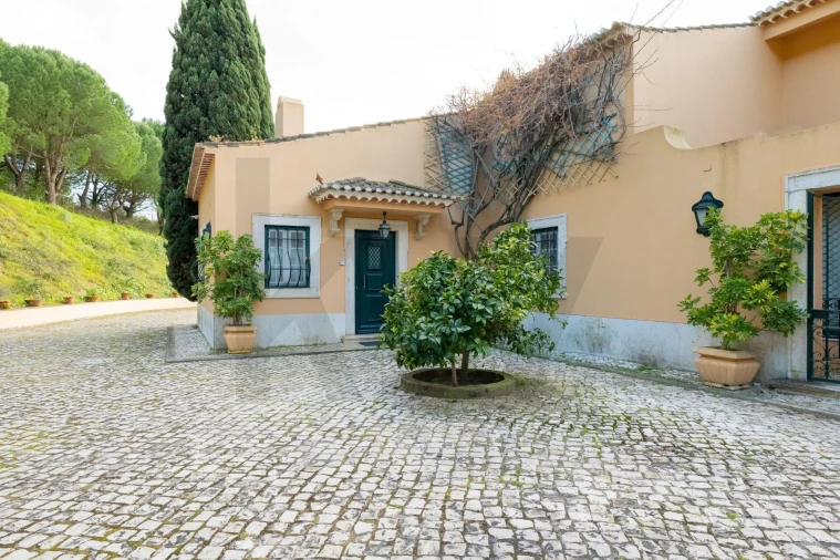 Quinta T4 para Venda em Azeitão (São Lourenço e São Simão) Foto 64