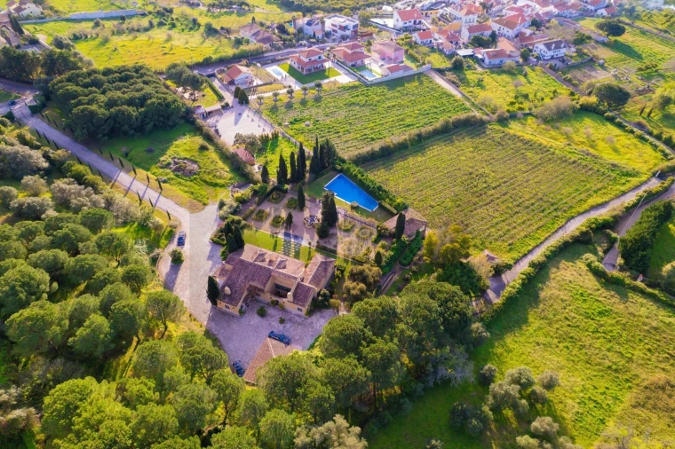Quinta T4 para Venda em Azeitão (São Lourenço e São Simão) Foto 14