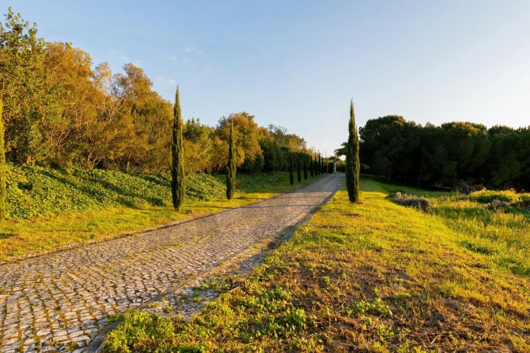 Quinta T4 para Venda em Azeitão (São Lourenço e São Simão) Foto 85