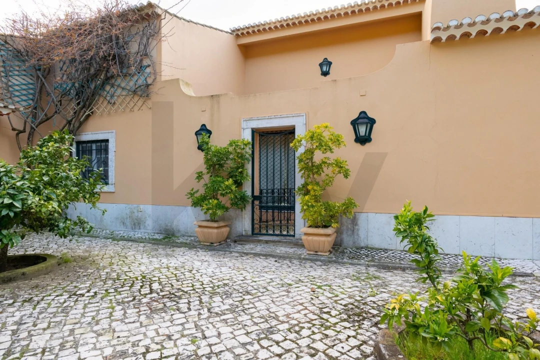 Quinta T4 para Venda em Azeitão (São Lourenço e São Simão) Foto 80