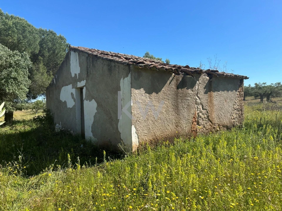 Terreno para Venda em Vila Nova de São Bento e Vale de Vargo Foto 6