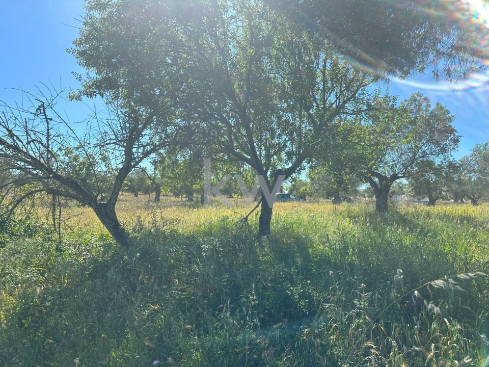 Terreno para Venda em Vila Nova de São Bento e Vale de Vargo Foto 11