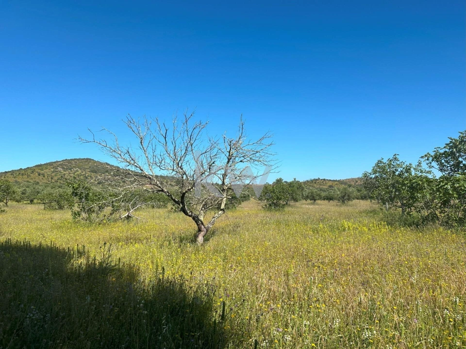 Terreno para Venda em Vila Nova de São Bento e Vale de Vargo Foto 9