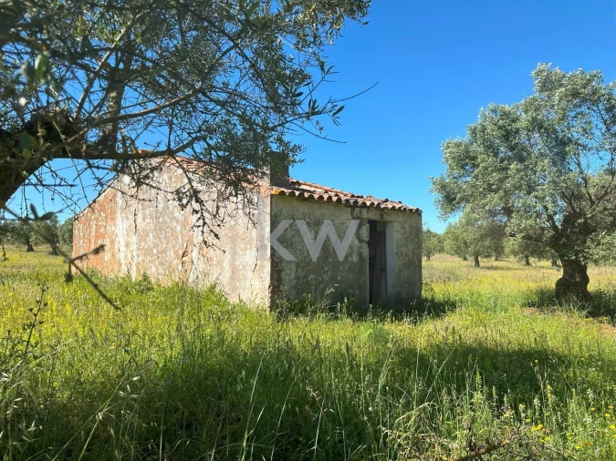 Terreno para Venda em Vila Nova de São Bento e Vale de Vargo Foto 10