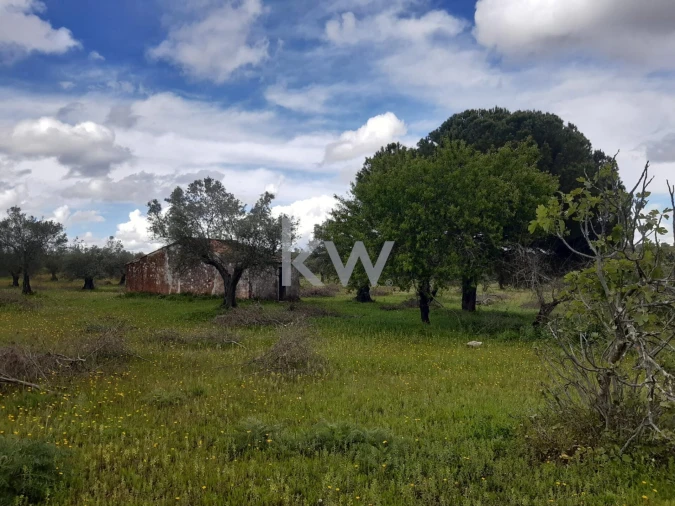 Terreno para Venda em Vila Nova de São Bento e Vale de Vargo Foto 5