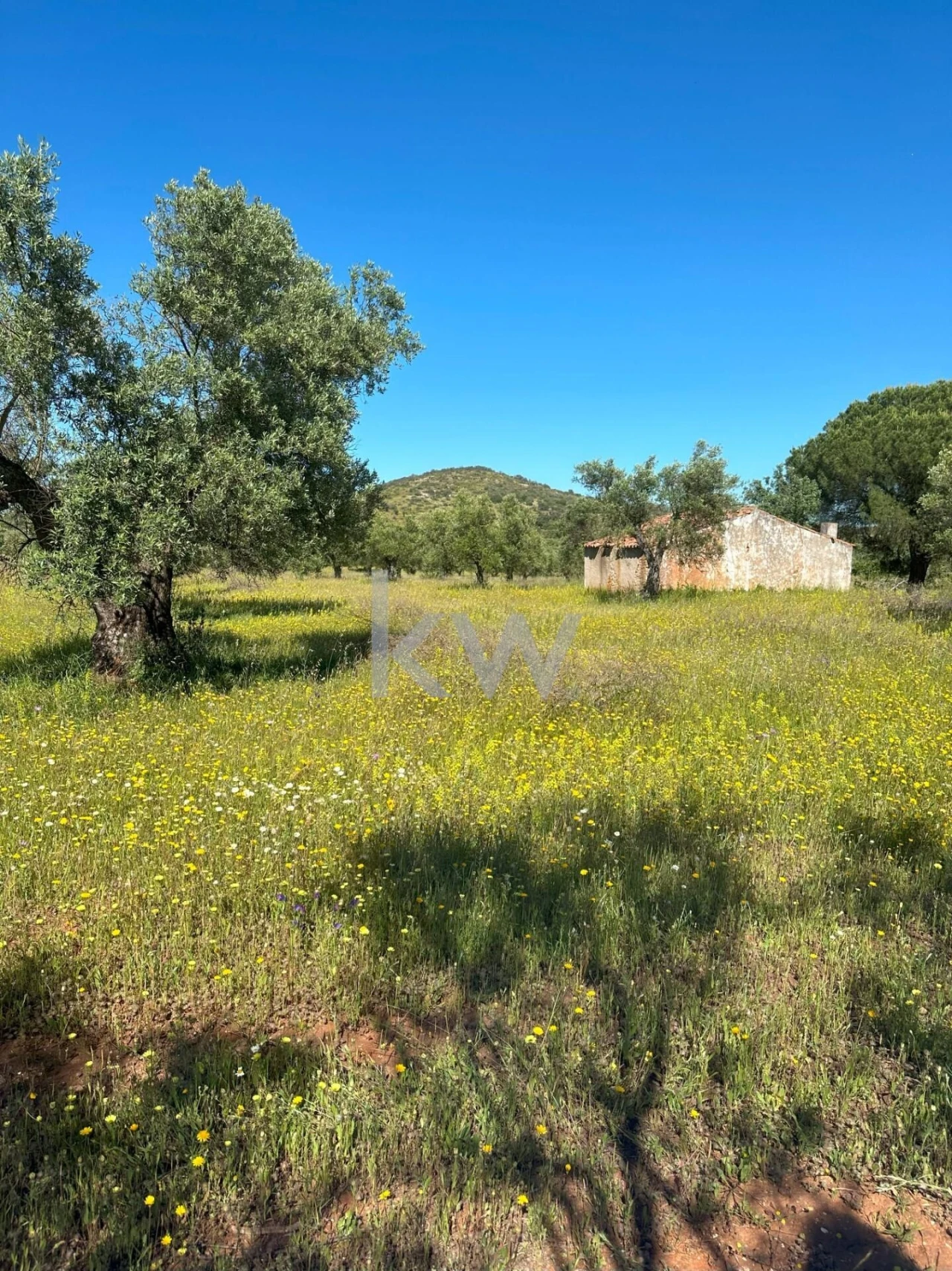 Terreno para Venda em Vila Nova de São Bento e Vale de Vargo Foto 15
