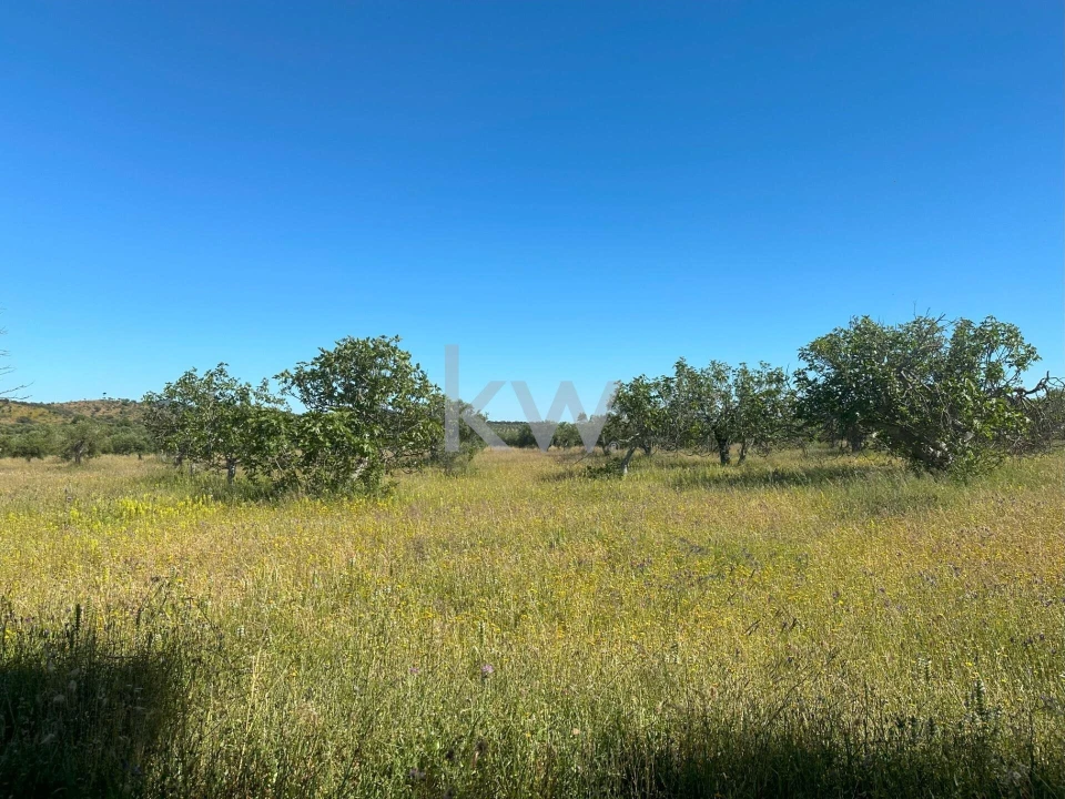 Terreno para Venda em Vila Nova de São Bento e Vale de Vargo Foto 12