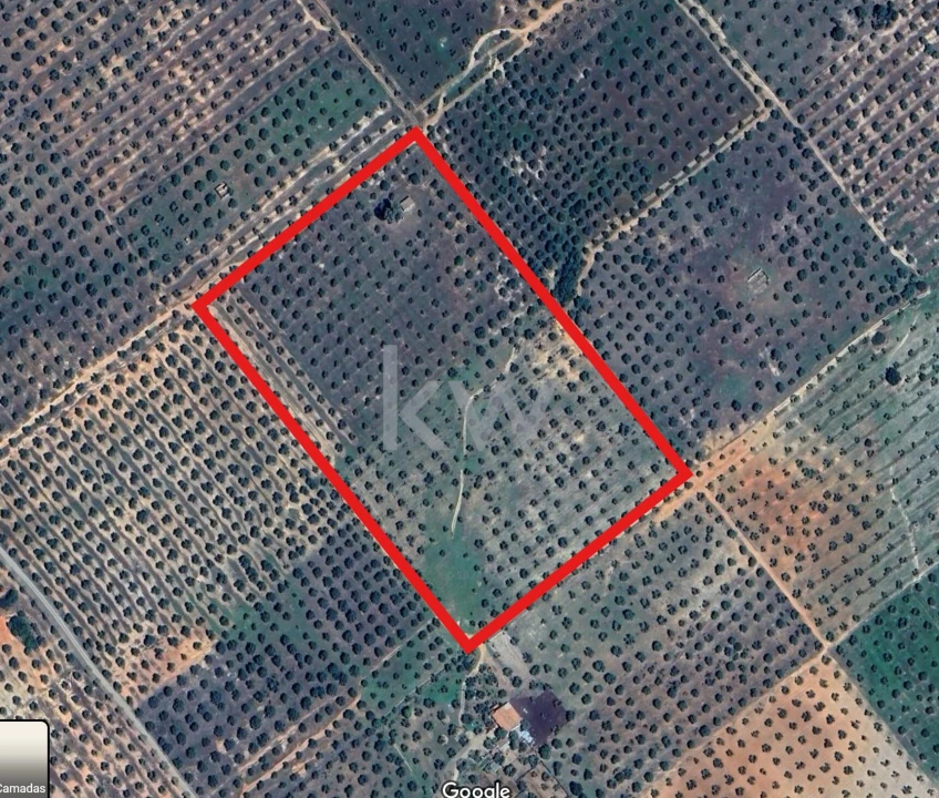 Terreno para Venda em Vila Nova de São Bento e Vale de Vargo Foto 4