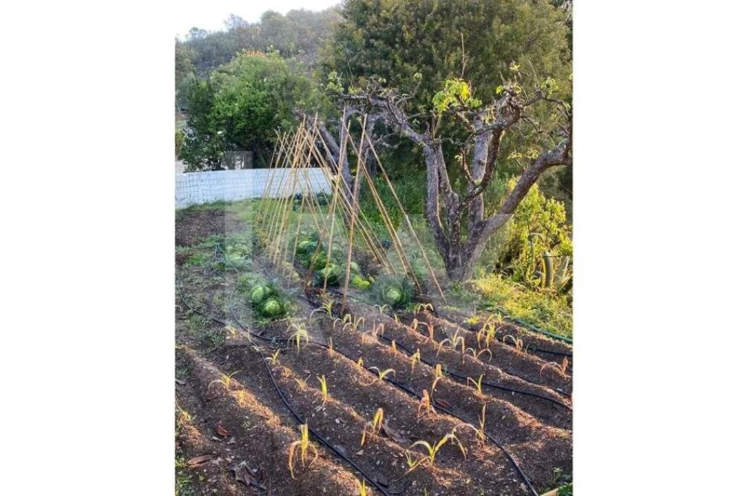 Quinta T16 para Venda em Santa Clara-A-Velha Foto 26