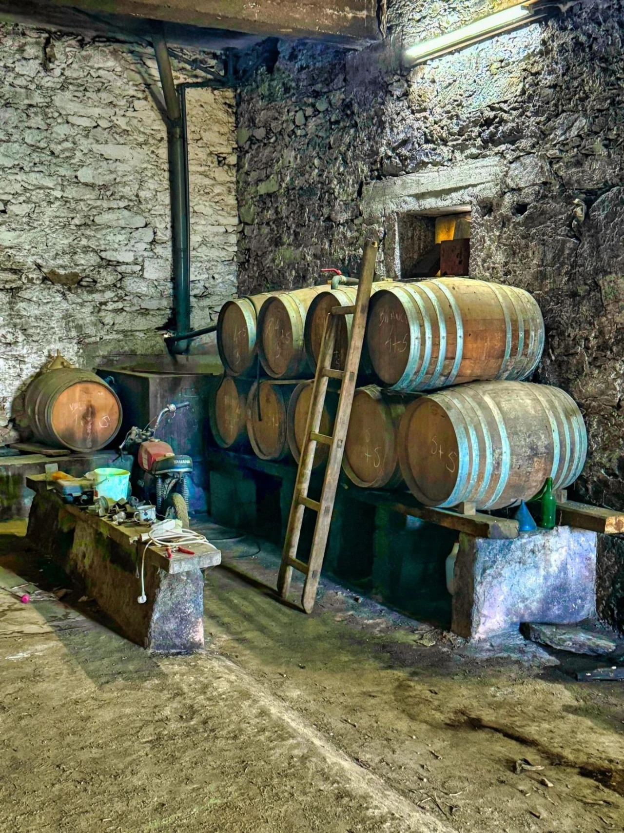 Quinta T3 para Venda em Sever Foto 14