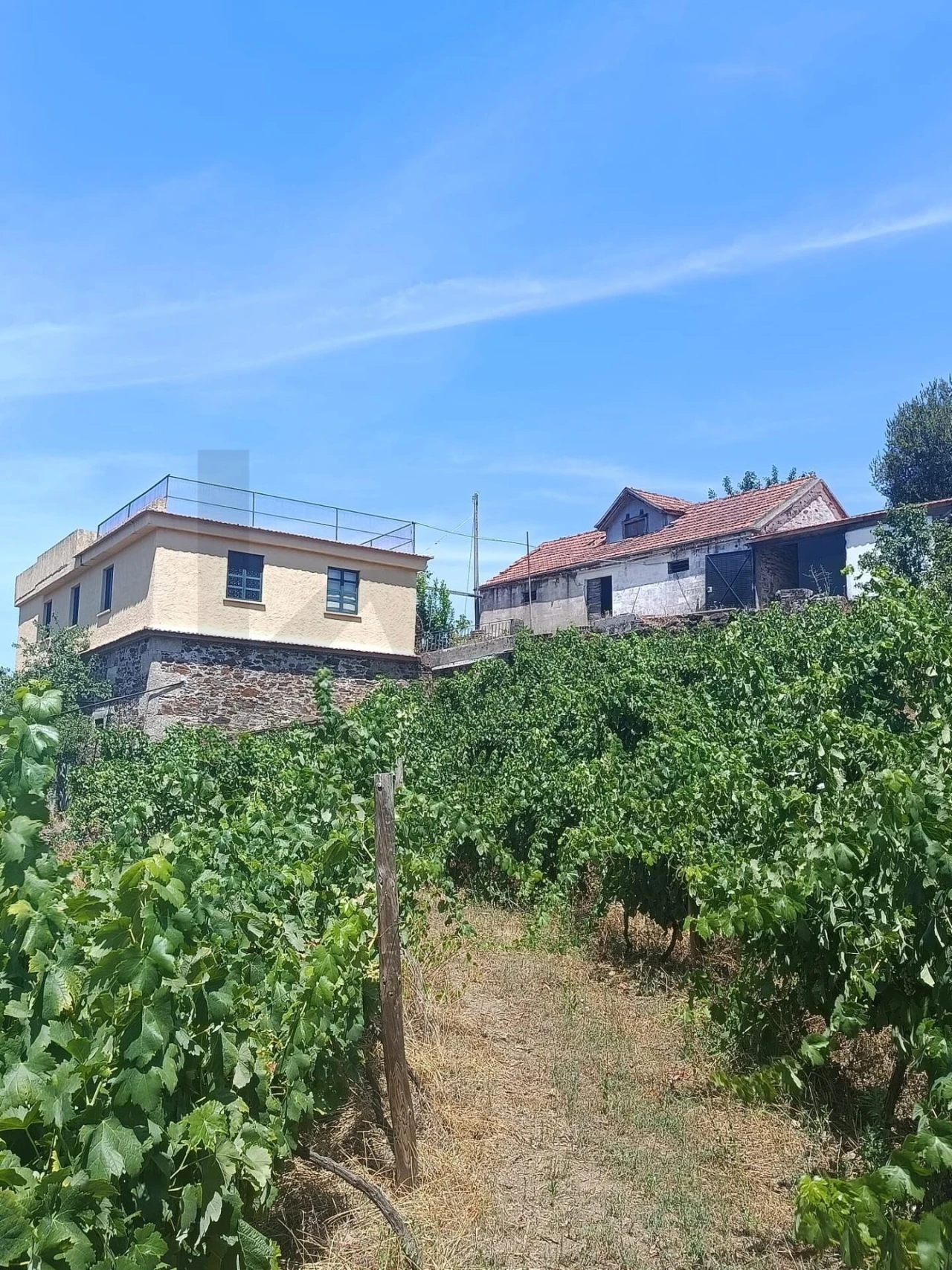 Quinta T3 para Venda em Sever Foto 31