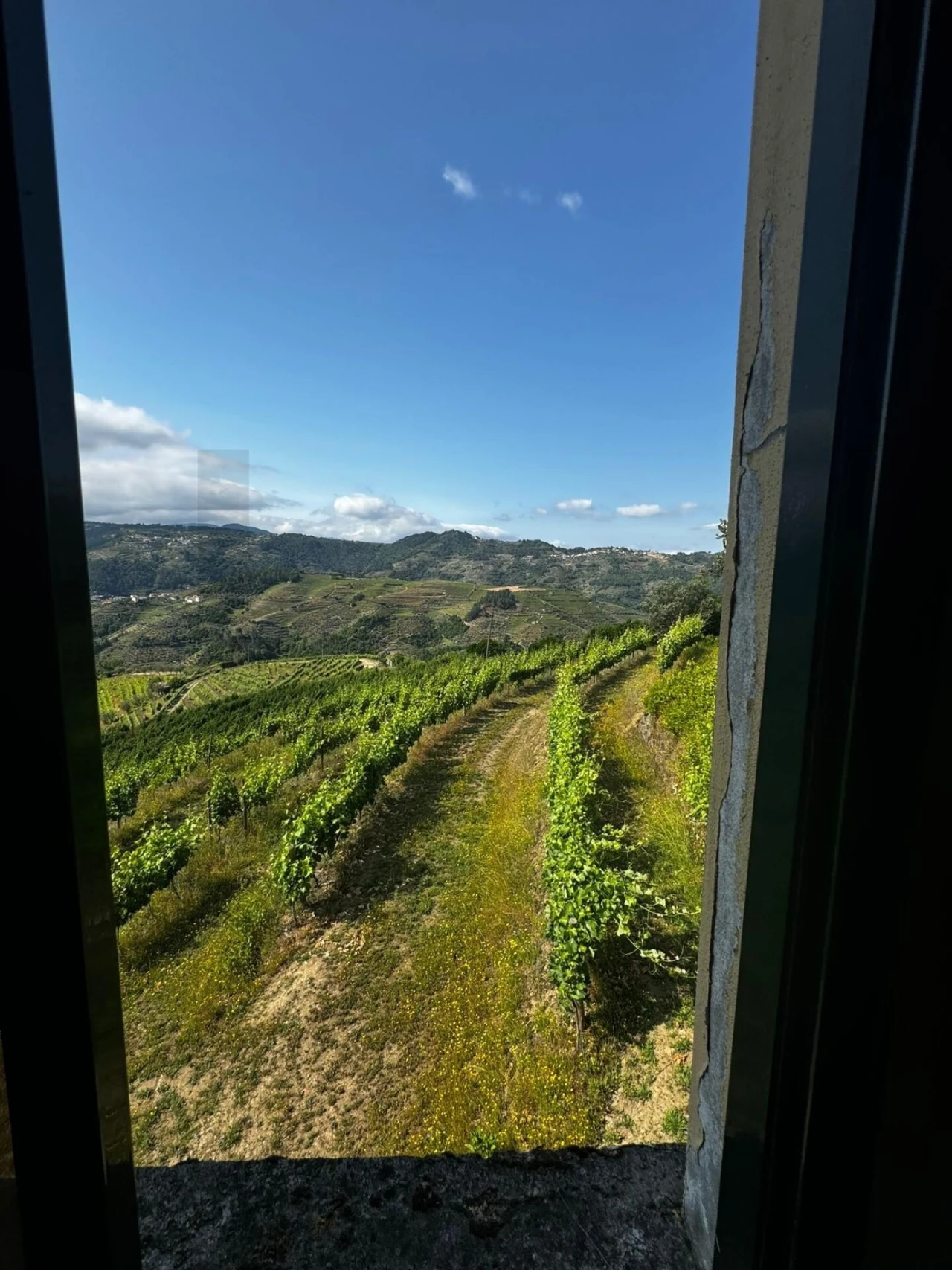 Quinta T3 para Venda em Sever Foto 6