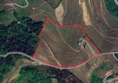 Quinta T3 para Venda em Sever