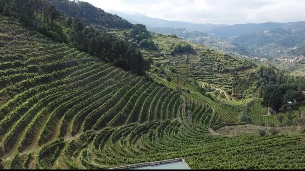 Quinta T3 para Venda em Sever Foto 4