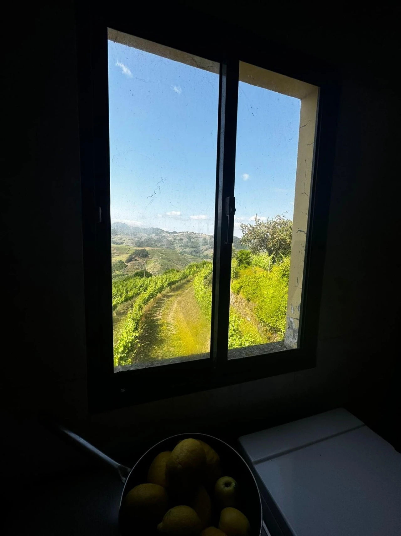 Quinta T3 para Venda em Sever Foto 12