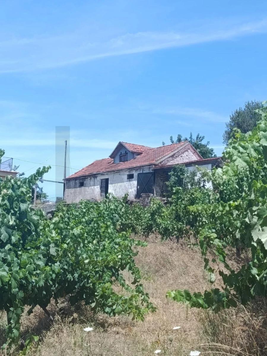 Quinta T3 para Venda em Sever Foto 33