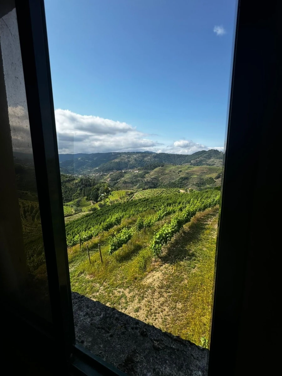 Quinta T3 para Venda em Sever Foto 11