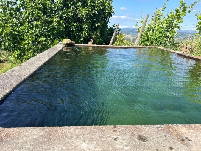 Quinta T3 para Venda em Sever Foto 24