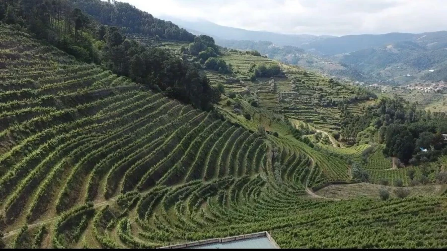 Quinta T3 para Venda em Sever Foto 4