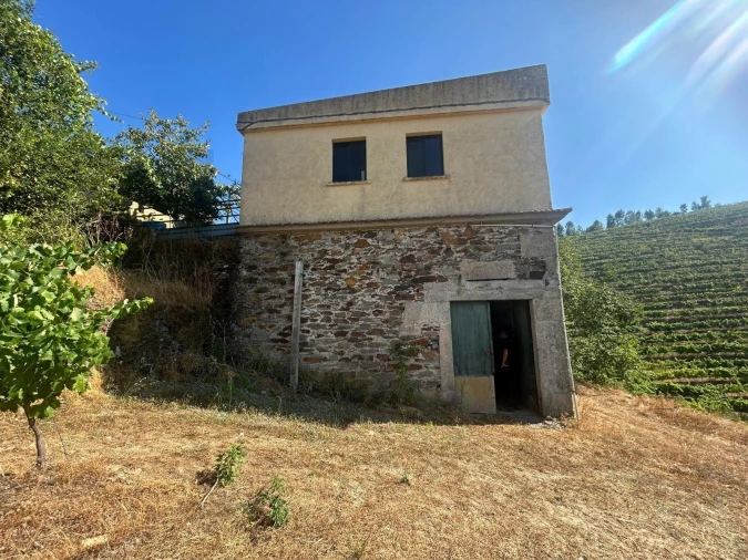 Quinta T3 para Venda em Sever Foto 36