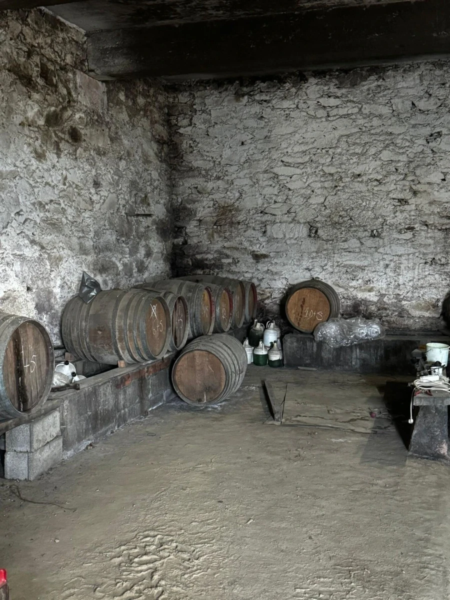 Quinta T3 para Venda em Sever Foto 9