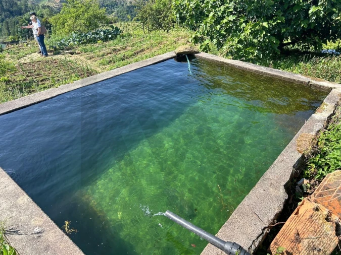 Quinta T3 para Venda em Sever Foto 23