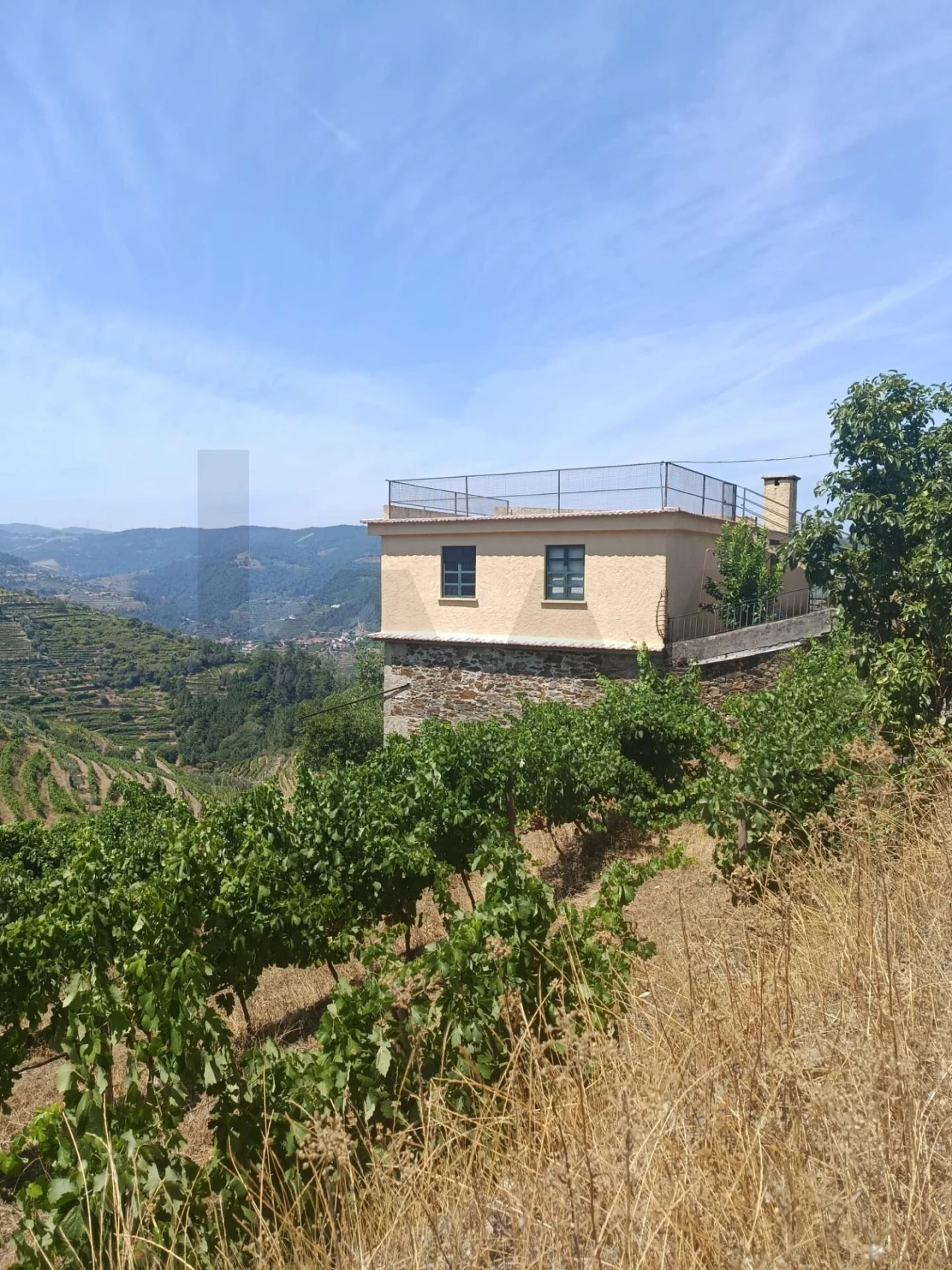 Quinta T3 para Venda em Sever Foto 32