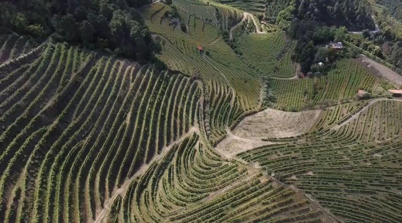 Quinta T3 para Venda em Sever Foto 3