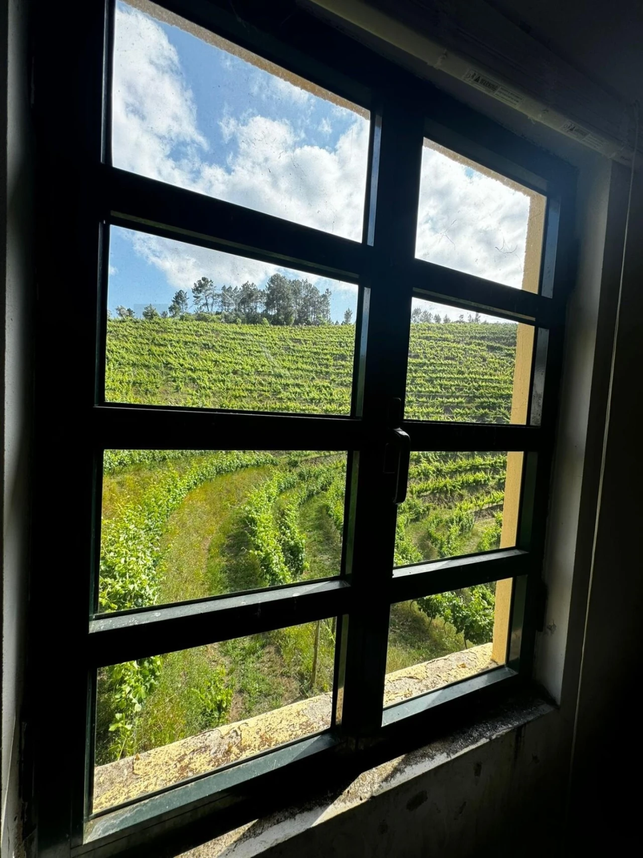 Quinta T3 para Venda em Sever Foto 5