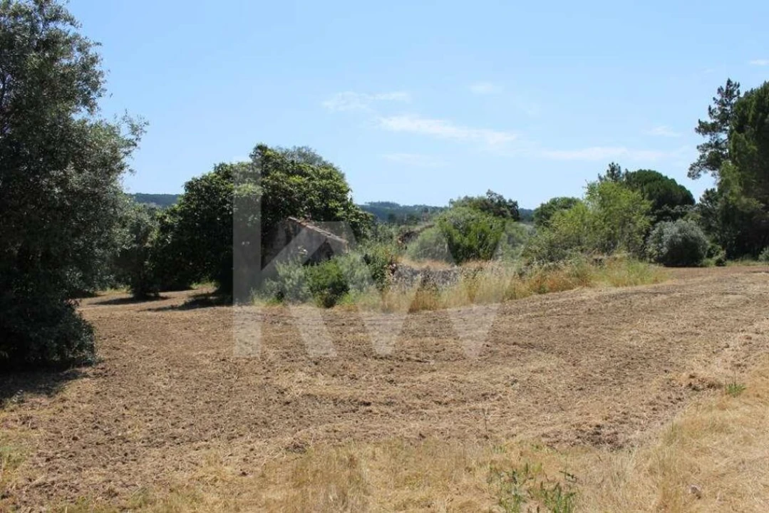 Terreno para Venda em Casais e Alviobeira Foto 12