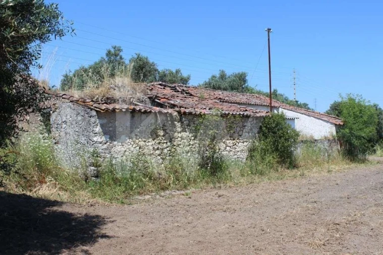 Terreno para Venda em Casais e Alviobeira Foto 6