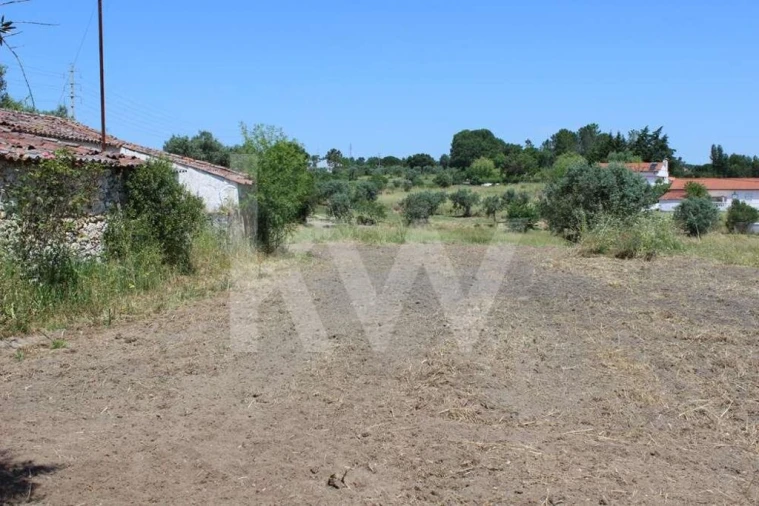 Terreno para Venda em Casais e Alviobeira Foto 8