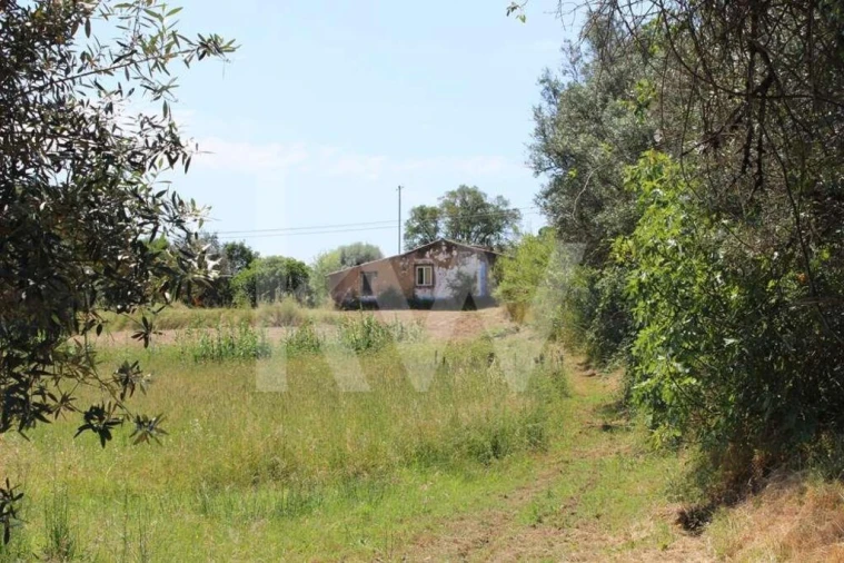 Terreno para Venda em Casais e Alviobeira Foto 19
