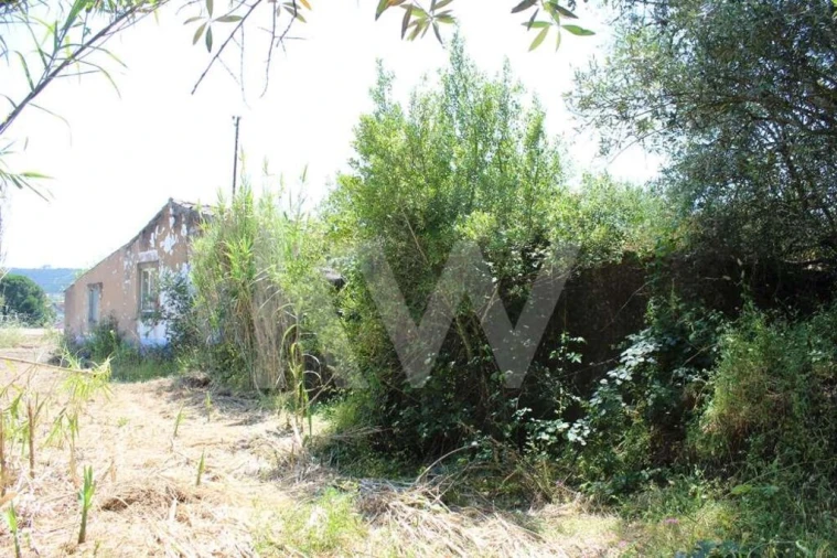 Terreno para Venda em Casais e Alviobeira Foto 18