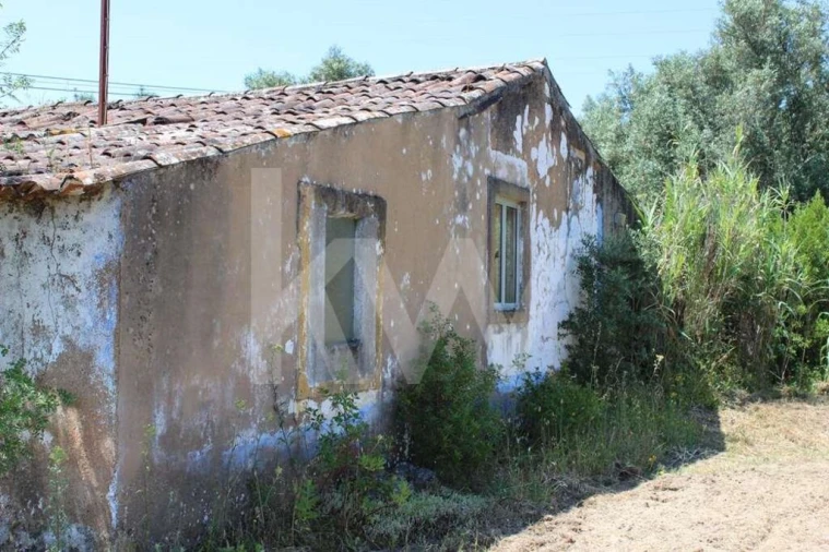 Terreno para Venda em Casais e Alviobeira Foto 10