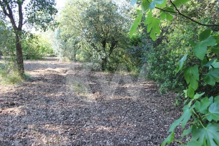 Terreno para Venda em Casais e Alviobeira Foto 17