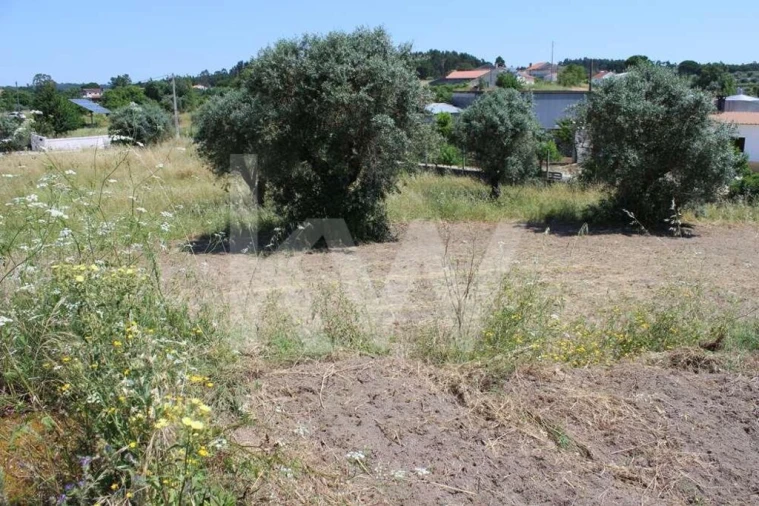 Terreno para Venda em Casais e Alviobeira Foto 14